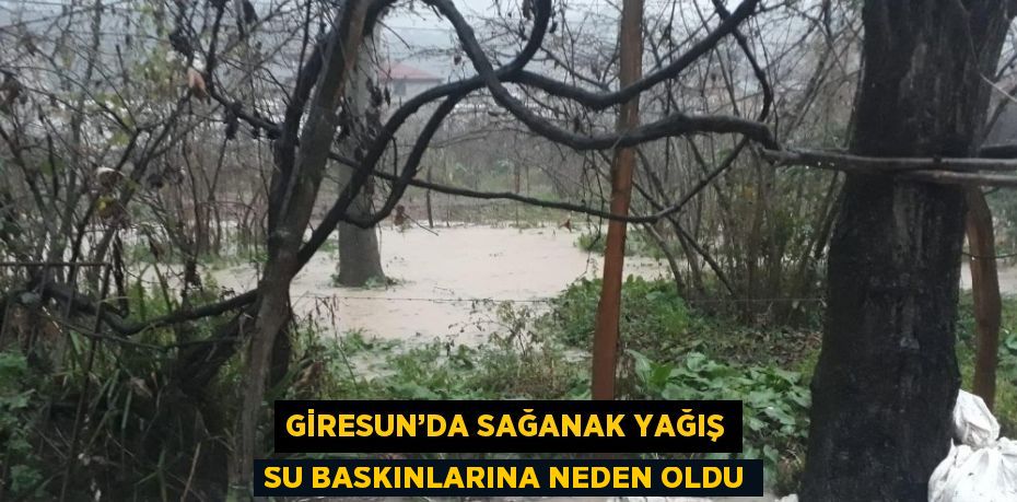 Giresun’un Bulancak ilçesinde akşam