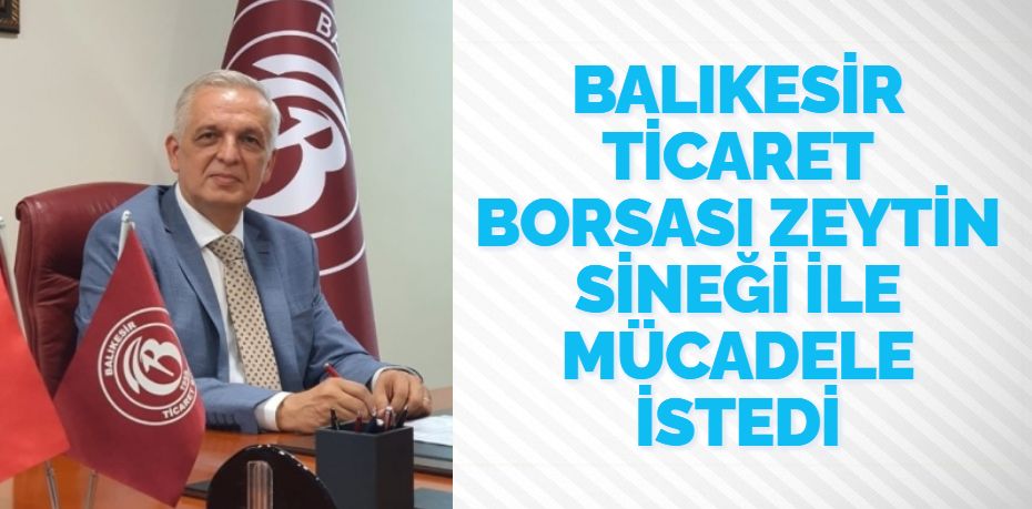 BALIKESİR TİCARET BORSASI ZEYTİN SİNEĞİ İLE MÜCADELE İSTEDİ