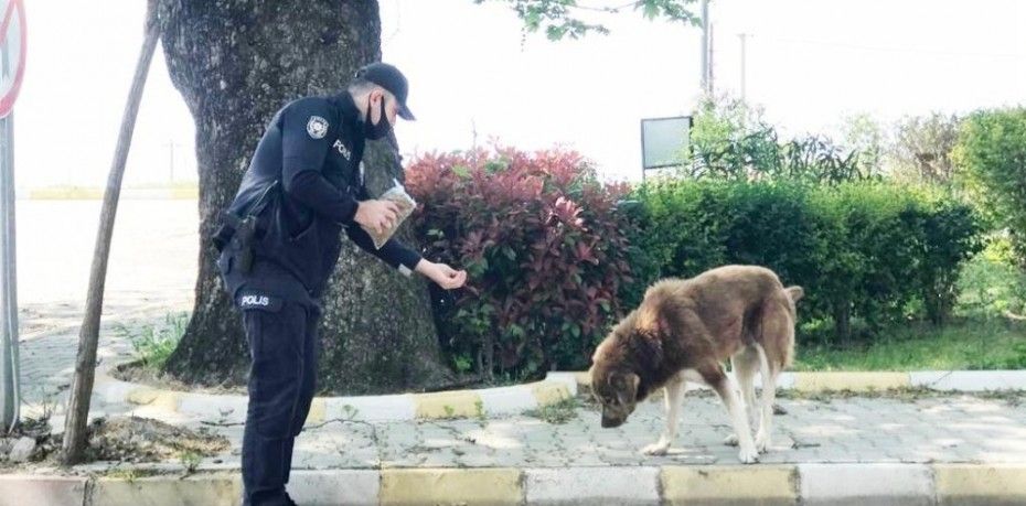 İçişleri Bakanlığı tarafından korona