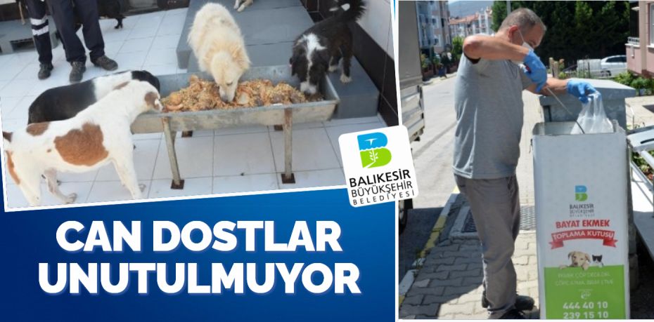 Balıkesir Büyükşehir Belediyesi, anlaşma