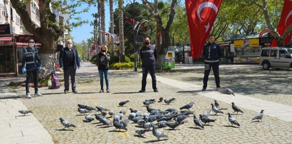 ÜNLÜ TATİL MERKEZİNDE SOKAK HAYVANLARI AÇ KALMASIN DİYE ÇABALIYORLAR