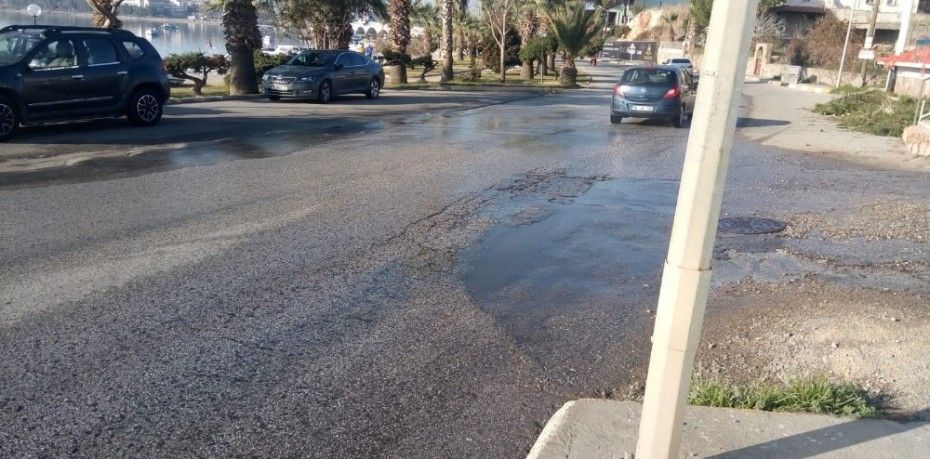 Balıkesir’in Ayvalık ilçesinde, kaynağının