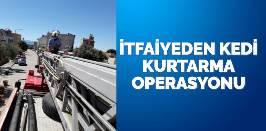 İTFAİYEDEN KEDİ KURTARMA OPERASYONU