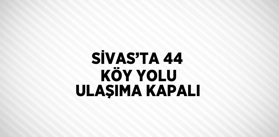 Sivas’ta kar ve tipi