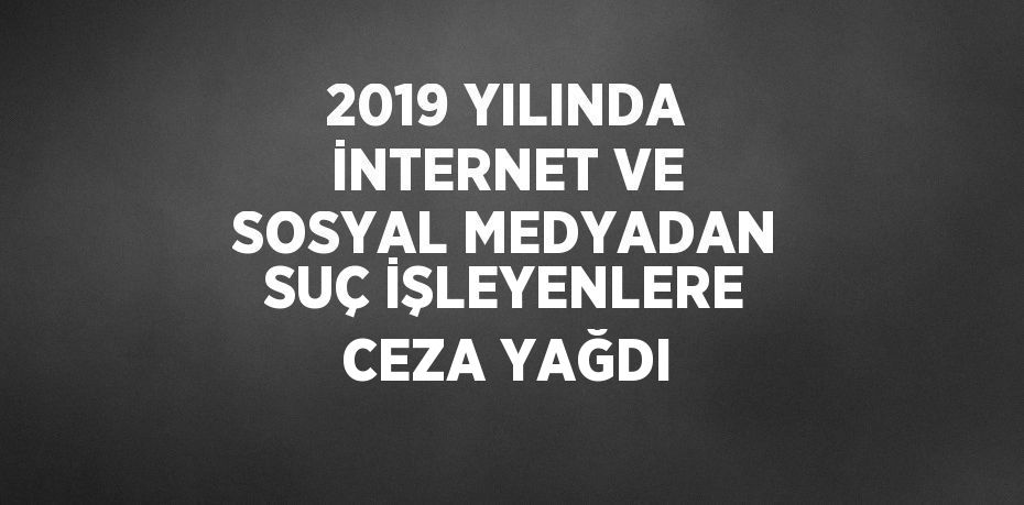 2019 YILINDA İNTERNET VE SOSYAL MEDYADAN SUÇ İŞLEYENLERE CEZA YAĞDI