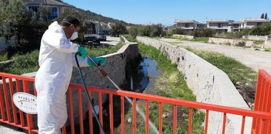 Balıkesir’in Ayvalık ilçesinde; Ayvalık