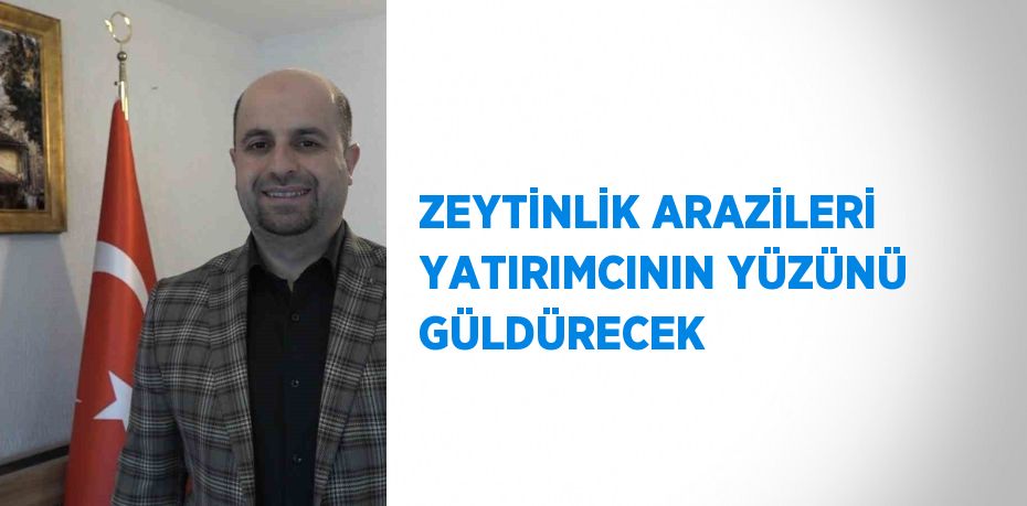 ZEYTİNLİK ARAZİLERİ YATIRIMCININ YÜZÜNÜ GÜLDÜRECEK