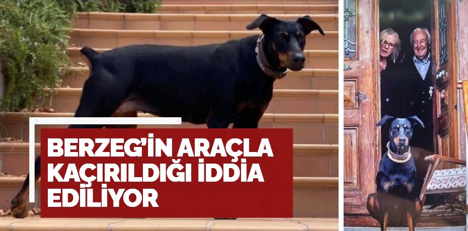 BERZEG’İN ARAÇLA KAÇIRILDIĞI İDDİA EDİLİYOR