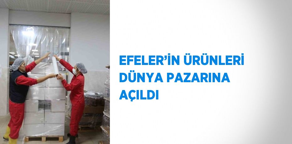 EFELER’İN ÜRÜNLERİ DÜNYA PAZARINA AÇILDI