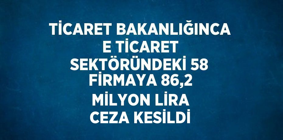 Ticaret Bakanlığı, e-ticaret sektöründeki