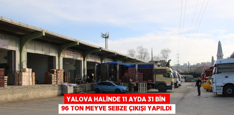 Yalova Belediyesi Yaş, Sebze