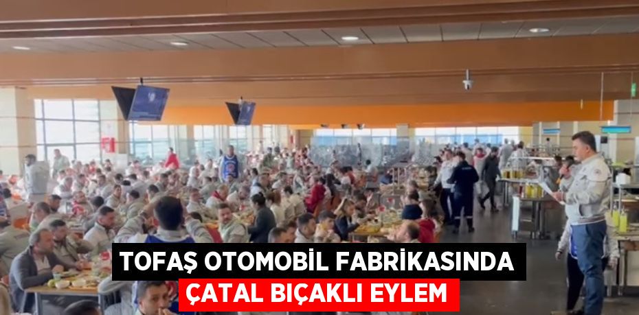 Türkiye’nin otomotiv devi Tofaş