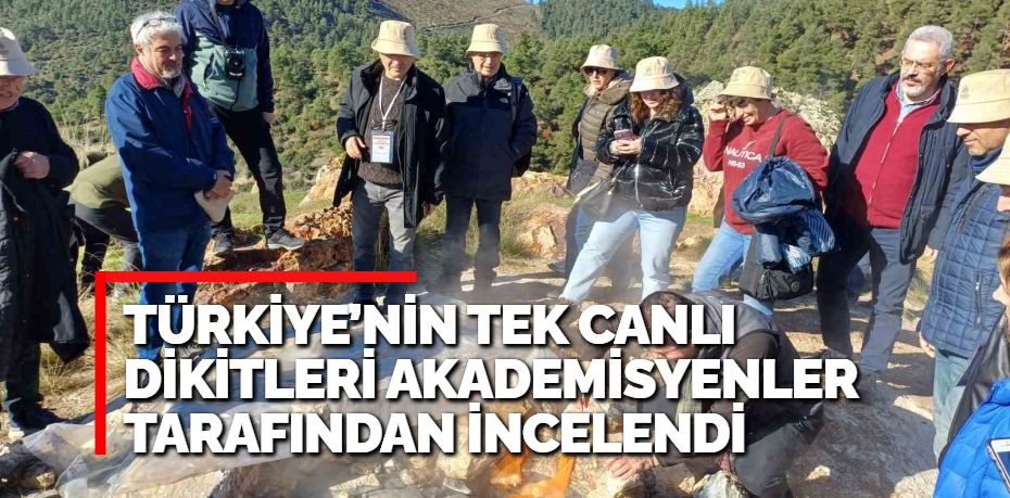 TÜRKİYE’NİN TEK CANLI DİKİTLERİ AKADEMİSYENLER TARAFINDAN İNCELENDİ