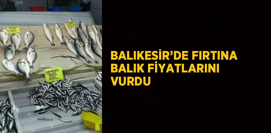 BALIKESİR’DE FIRTINA BALIK FİYATLARINI VURDU