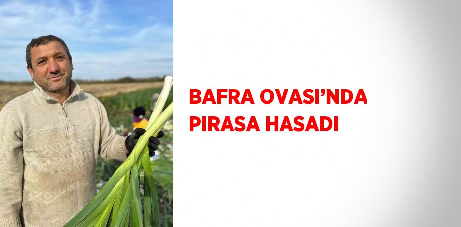 BAFRA OVASI’NDA PIRASA HASADI