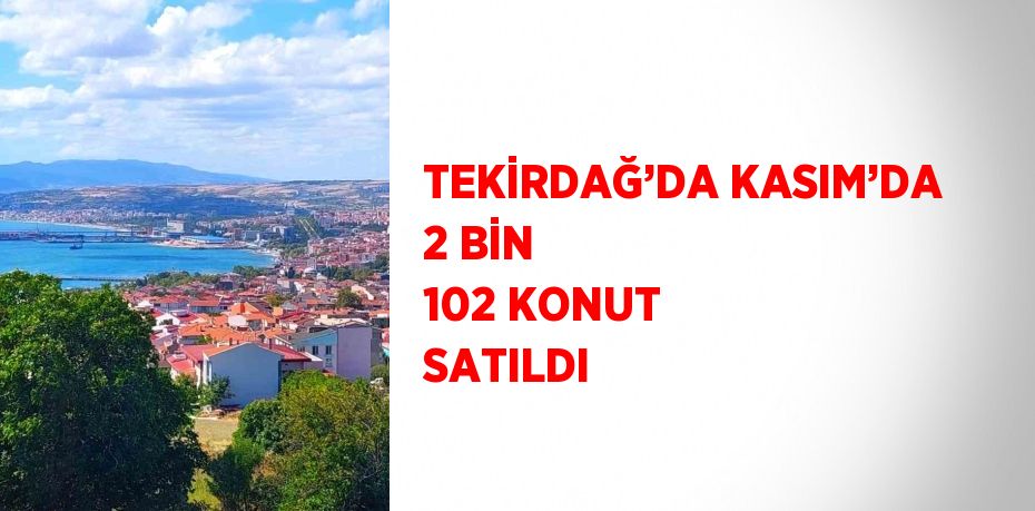 TEKİRDAĞ’DA KASIM’DA 2 BİN 102 KONUT SATILDI