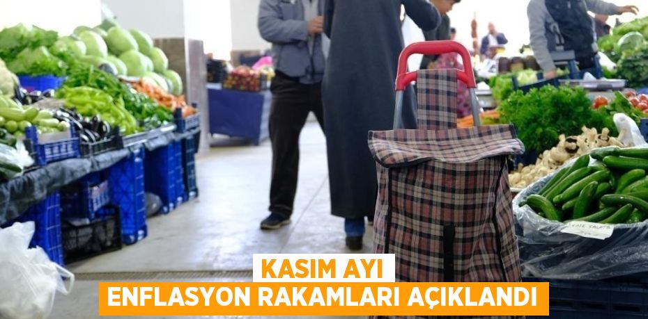 Tüketici Fiyat Endeksi kasımda