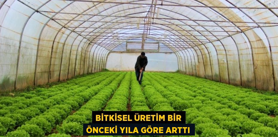 Üretim miktarları, 2023 yılında