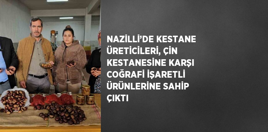 Aydın’ın Nazilli ilçesinde kestane