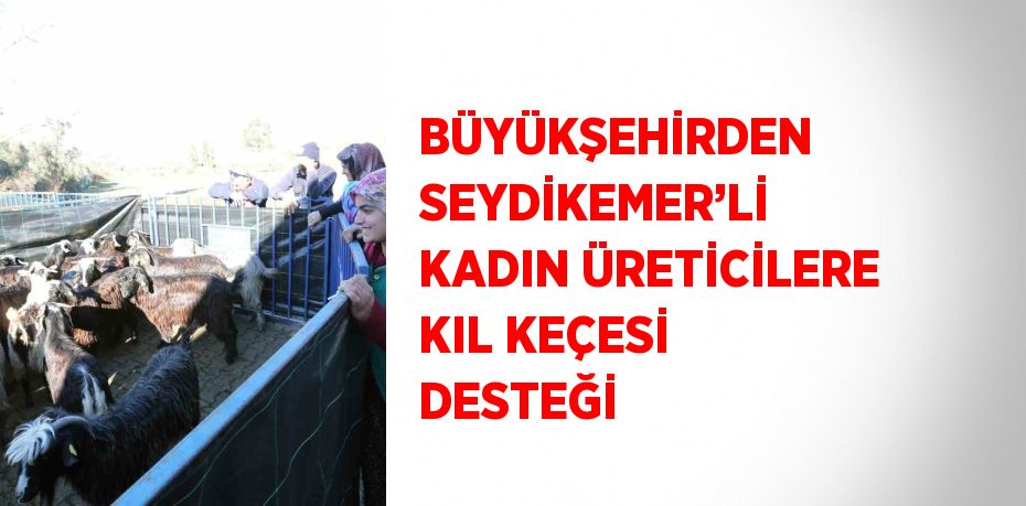 Muğla Büyükşehir Belediyesi’nin kadın