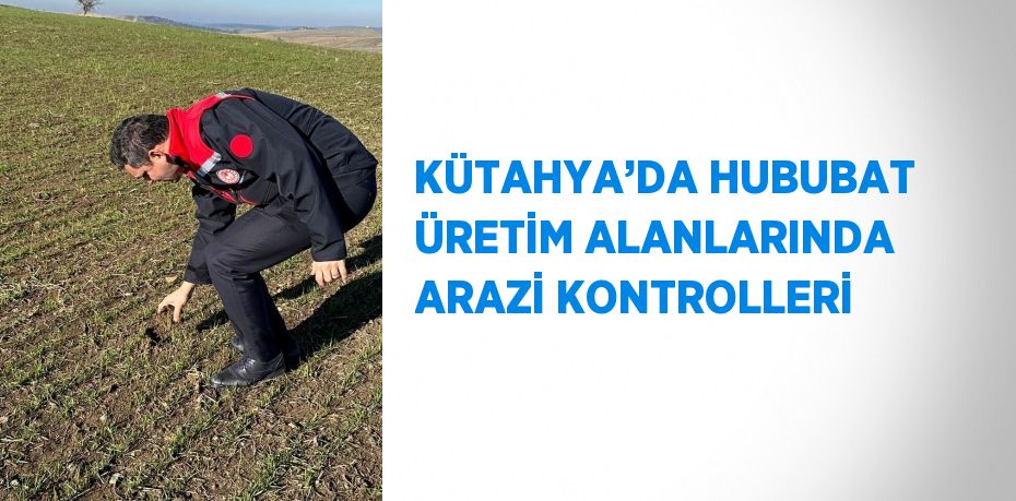 KÜTAHYA’DA HUBUBAT ÜRETİM ALANLARINDA ARAZİ KONTROLLERİ