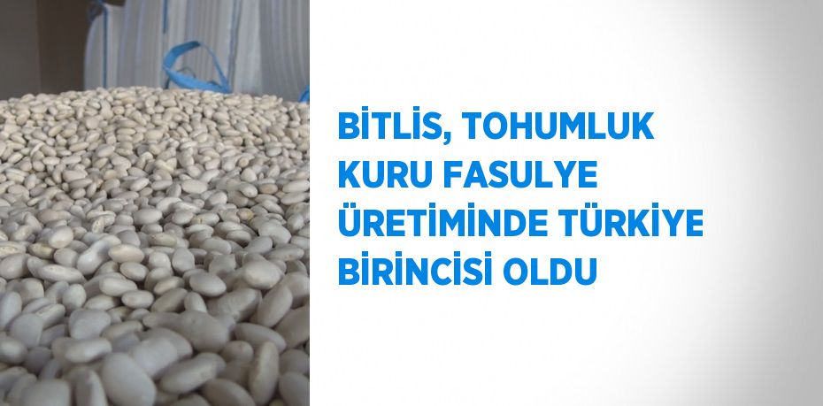 Bitlis, yüzde 75’lik tohumluk