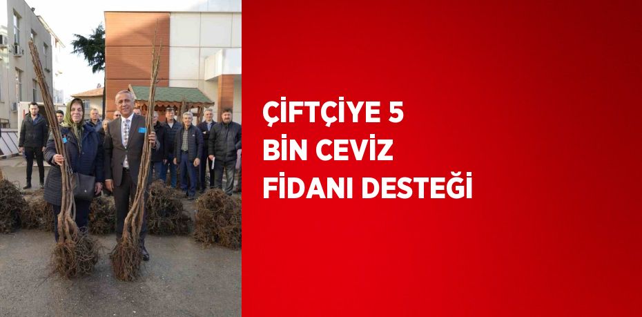 ÇİFTÇİYE 5 BİN CEVİZ FİDANI DESTEĞİ