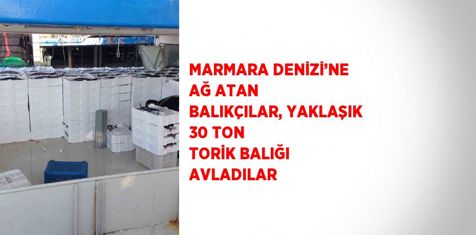 Marmara Denizi’ne ağ atan