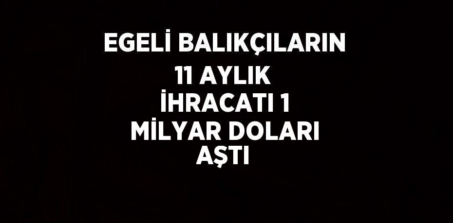 Egeli balıkçıların 11 aylık