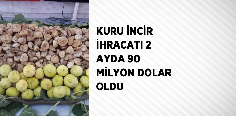 KURU İNCİR İHRACATI 2 AYDA 90 MİLYON DOLAR OLDU