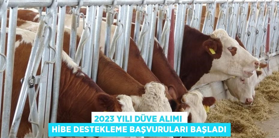 2023 YILI DÜVE ALIMI HİBE DESTEKLEME BAŞVURULARI BAŞLADI