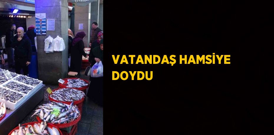 VATANDAŞ HAMSİYE DOYDU