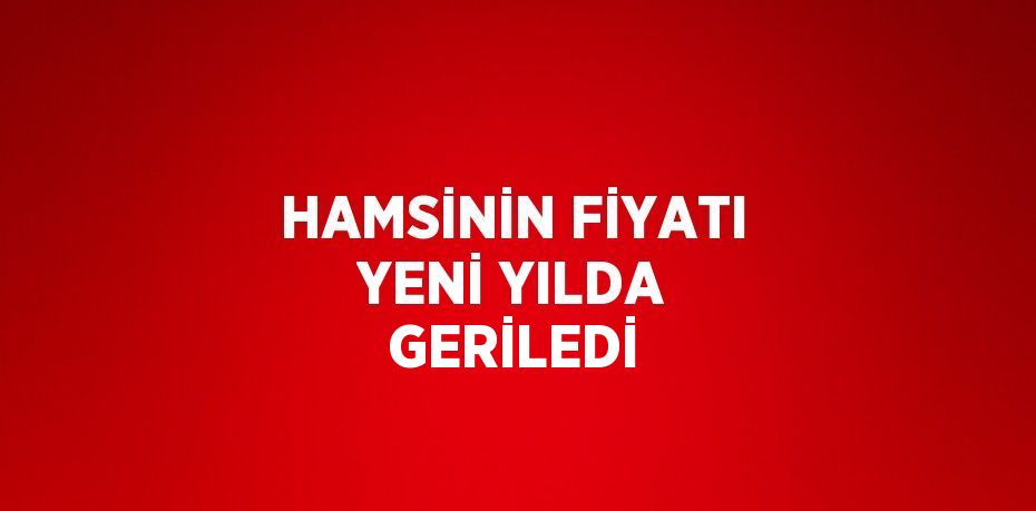 HAMSİNİN FİYATI YENİ YILDA GERİLEDİ