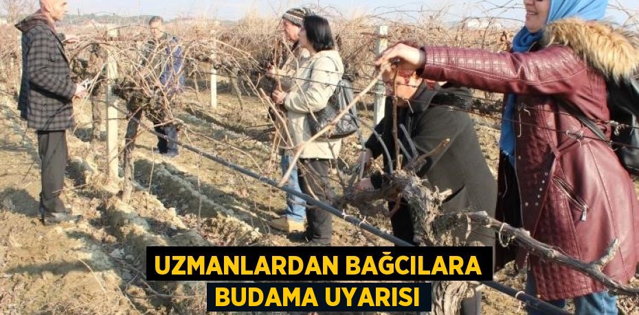 Üzümün başkenti olarak bilinen