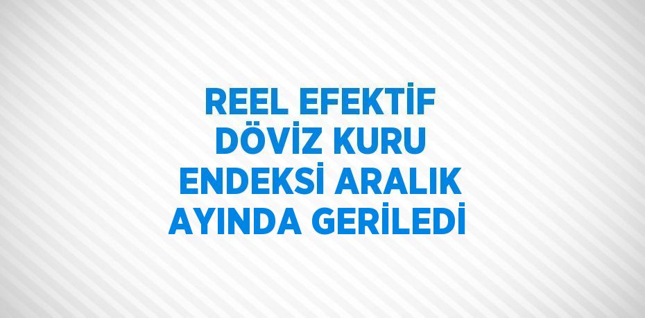 REEL EFEKTİF DÖVİZ KURU ENDEKSİ ARALIK AYINDA GERİLEDİ