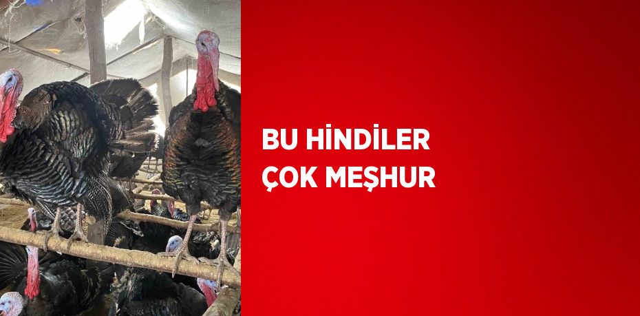 BU HİNDİLER ÇOK MEŞHUR