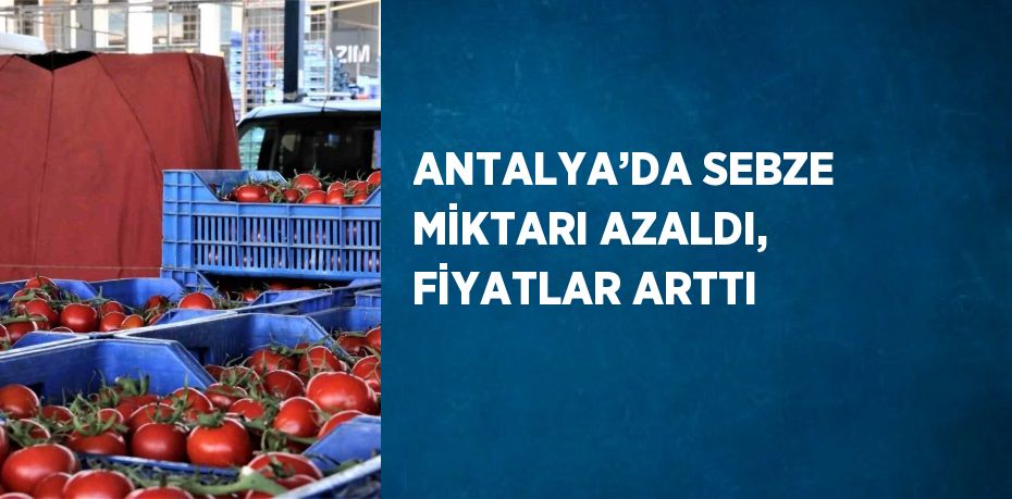 ANTALYA’DA SEBZE MİKTARI AZALDI, FİYATLAR ARTTI