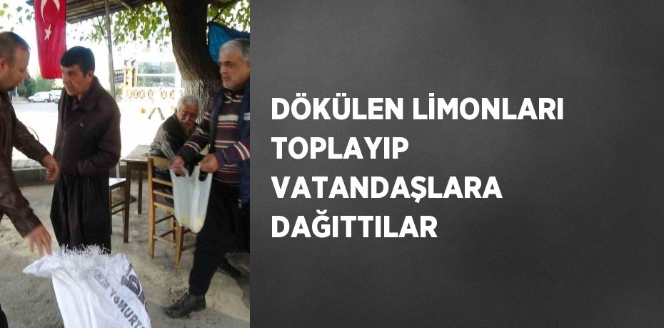 DÖKÜLEN LİMONLARI TOPLAYIP VATANDAŞLARA DAĞITTILAR