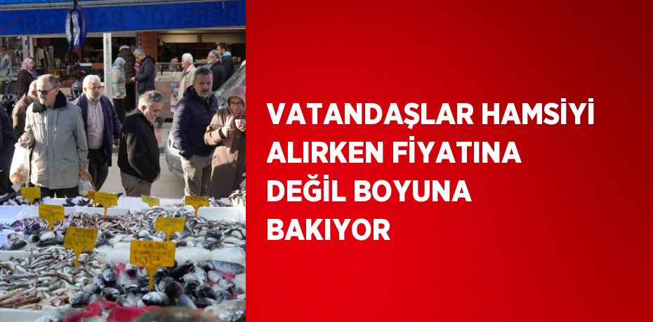 VATANDAŞLAR HAMSİYİ ALIRKEN FİYATINA DEĞİL BOYUNA BAKIYOR