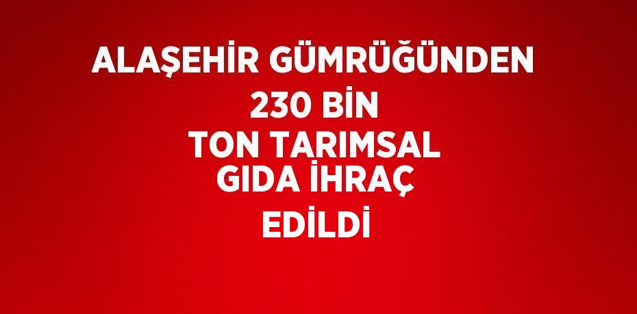 ALAŞEHİR GÜMRÜĞÜNDEN 230 BİN TON TARIMSAL GIDA İHRAÇ EDİLDİ