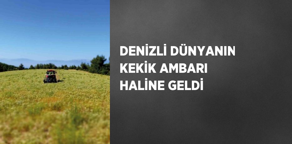 Dünya’nın kekik ambarı Türkiye’nin