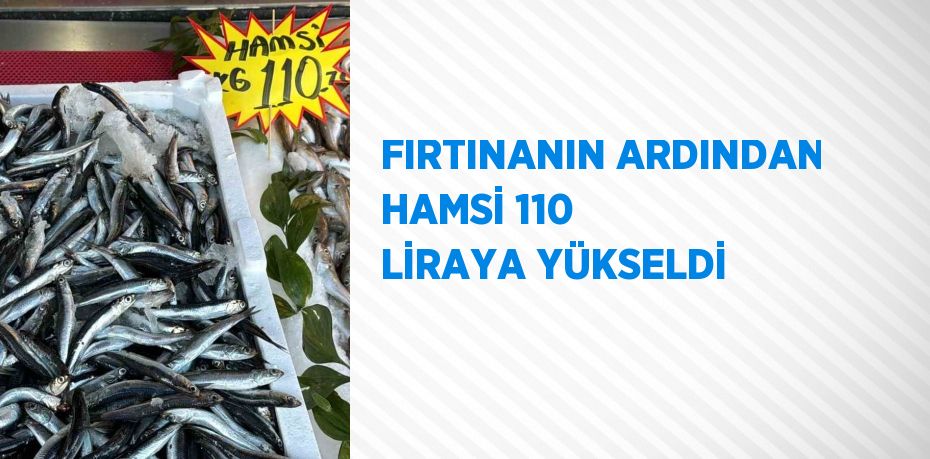 FIRTINANIN ARDINDAN HAMSİ 110 LİRAYA YÜKSELDİ