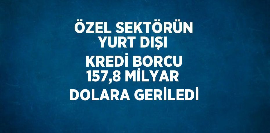 Özel sektörün yurt dışından