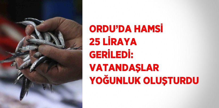 ORDU’DA HAMSİ 25 LİRAYA GERİLEDİ: VATANDAŞLAR YOĞUNLUK OLUŞTURDU