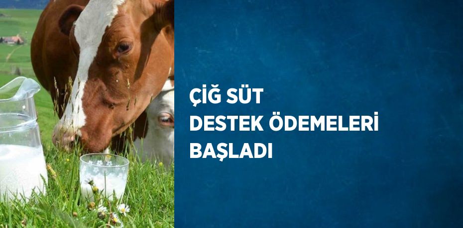 ÇİĞ SÜT DESTEK ÖDEMELERİ BAŞLADI