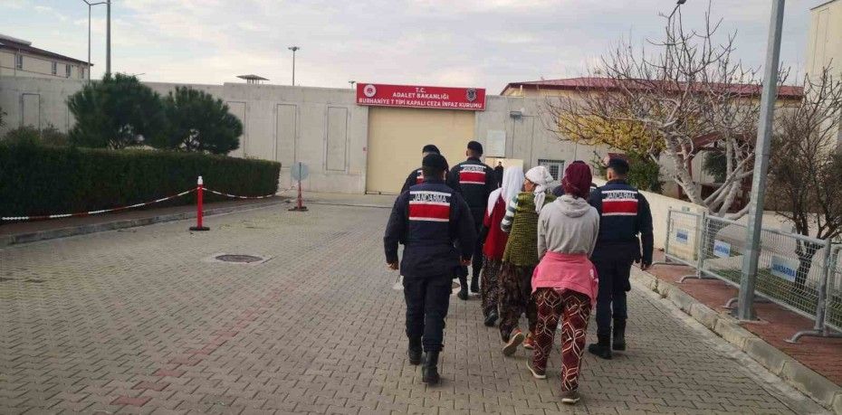 ZEYTİN HIRSIZLARI JANDARMA TARAFINDAN SUÇÜSTÜ YAKALANDI