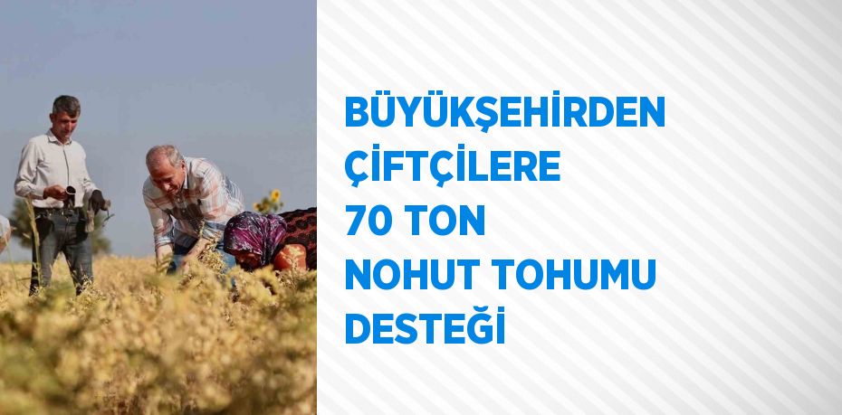 BÜYÜKŞEHİRDEN ÇİFTÇİLERE 70 TON NOHUT TOHUMU DESTEĞİ