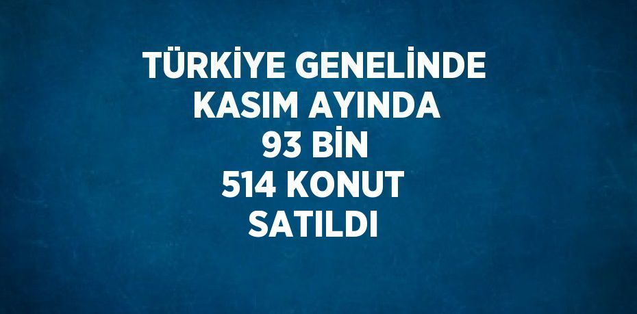 TÜRKİYE GENELİNDE KASIM AYINDA 93 BİN 514 KONUT SATILDI