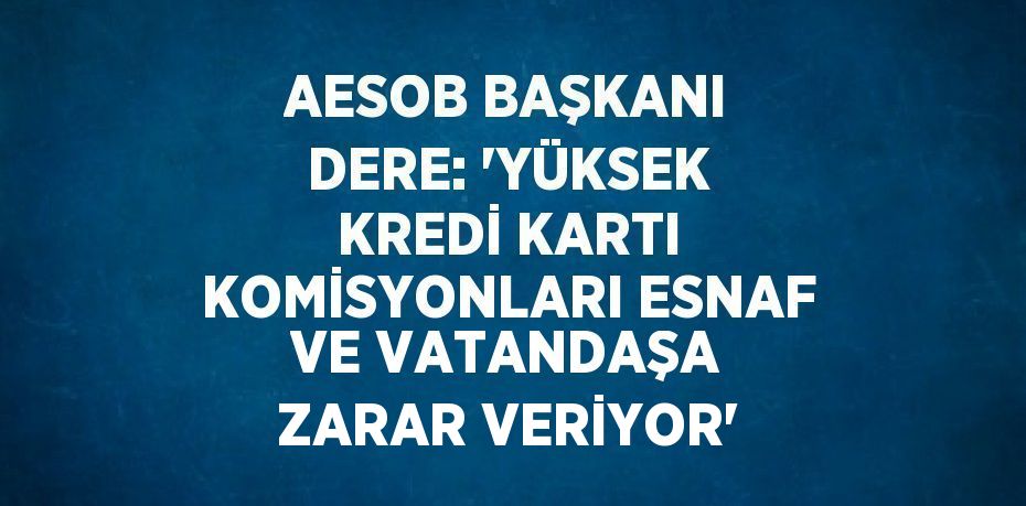 AESOB BAŞKANI DERE: ‘YÜKSEK KREDİ KARTI KOMİSYONLARI ESNAF VE VATANDAŞA ZARAR VERİYOR’