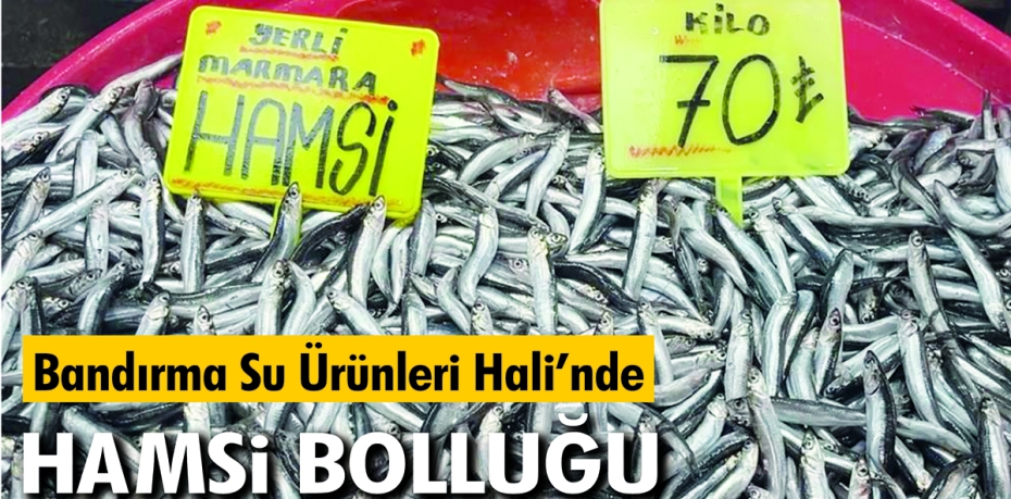 Balıkesir Büyükşehir Belediyesi Bandırma